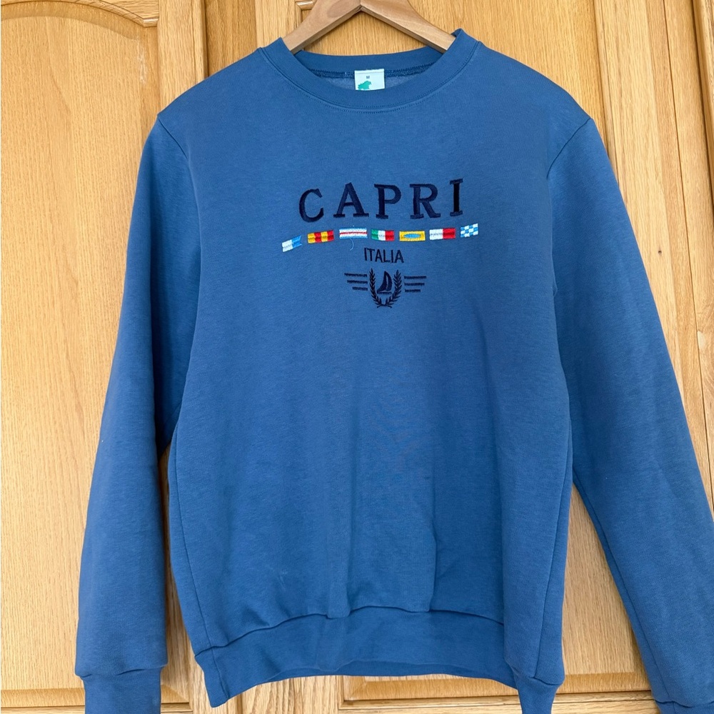 Blue Women's Crew Neck Sweater